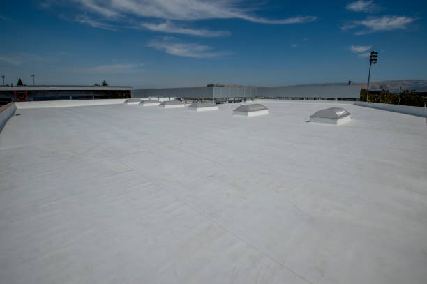 Best Cold Roofs  in Inez, TX