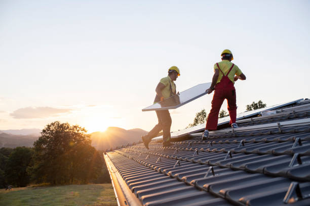 Best Roof Insulation Installation  in Inez, TX
