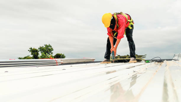 Best Roof Coating and Sealing  in Inez, TX