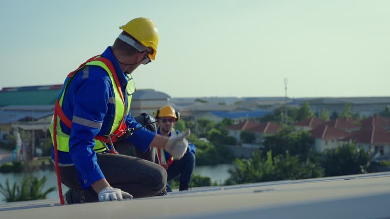 Best Chimney Flashing Repair  in Inez, TX
