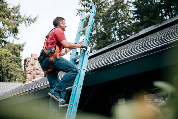 Best Gutter Installation and Repair  in Inez, TX
