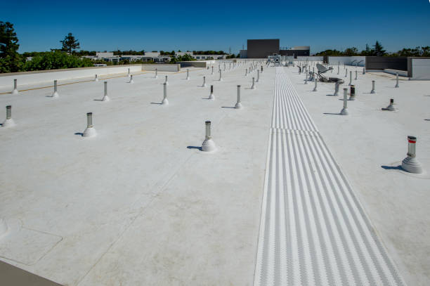 Best Commercial Roofing Services  in Inez, TX